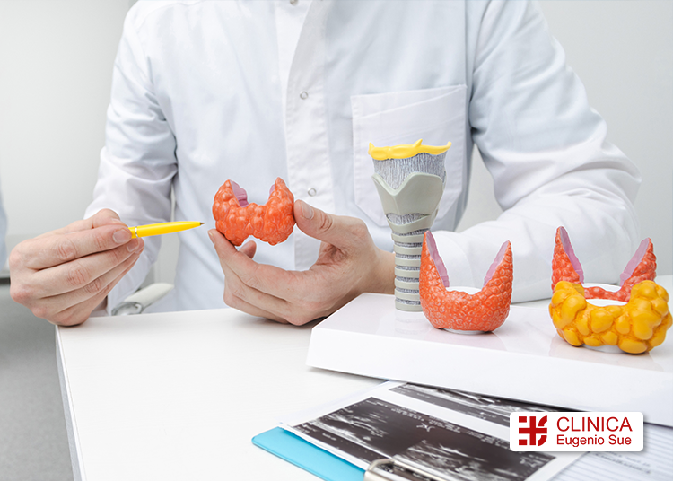 endocrinología cuando requiere atención y qué trastornos trata un endocrinoólogo