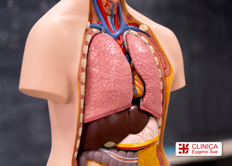 Por qué existen dos especialidades para el mismo sistema respiratorio