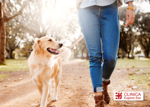 Caminar con tu perro, cómo puede mejorar tu salud